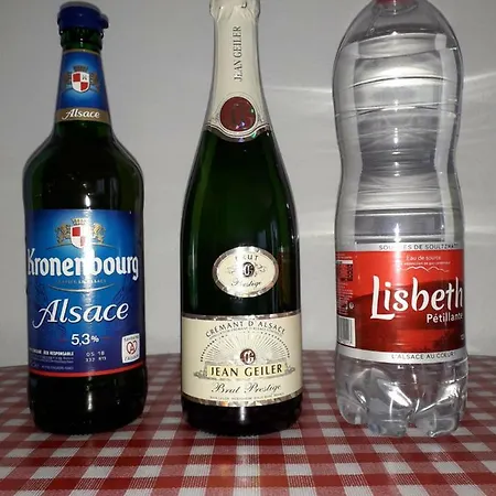 Appartement Résidence Le Parc Colmar